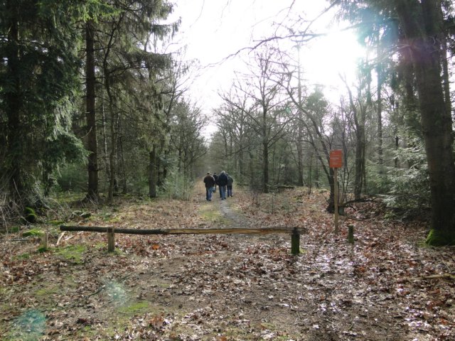 NWK 2012 019.jpg